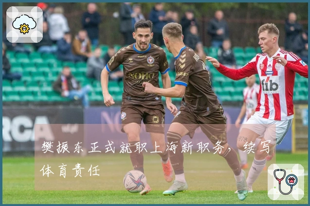 樊振东正式就职上海新职务，续写体育责任